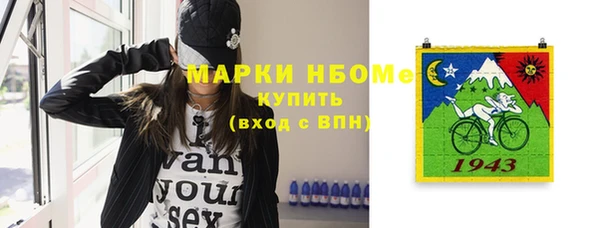 индика Бугульма