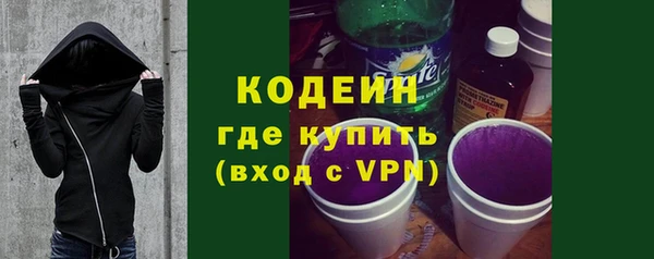 индика Бугульма
