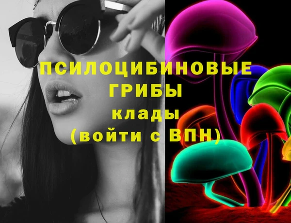 индика Бугульма