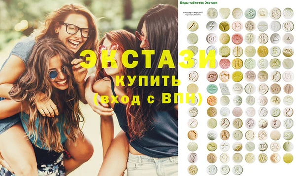 индика Бугульма