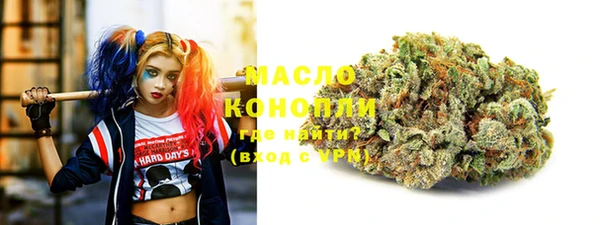 индика Бугульма