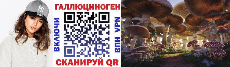 OMG рабочий сайт  наркотики  Подольск  Галлюциногенные грибы Psilocybe 
